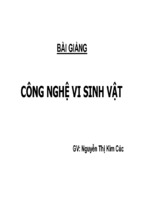 Bài giảng công nghệ vi sinh vật