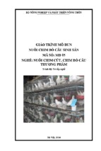 giáo trình nuôi chim bồ câu sinh sản