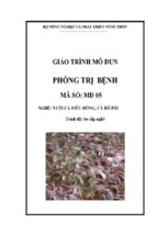 Giáo trình mđ05   phòng trị bệnh cho cá