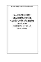 giáo trình khai thác sơ chế bảo quản cây bời lời