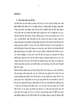 Một số định hướng cho kế toán việt nam trong tiến trình hội tụ kế toán quốc tế   tài liệu, ebook, giáo trình