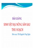 Bài giảng sinh vật gây hại nông sản sau thu hoạch, nguyễn hồng ngân