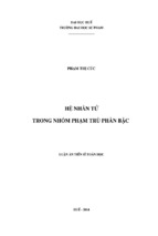 Hệ nhân tử trong nhóm phạm trù phân bậc