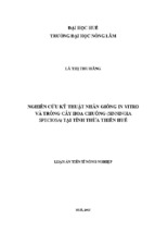 Nghiên cứu kỹ thuật nhân giống in vitro và trồng cây hoa chuông (sinningia speciosa) tại tỉnh thừa thiên huế