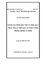 đánh giá tính khả thi và hiệu quả phẫu thuật nội soi cắt thùy phổi trong bệnh lý phổi