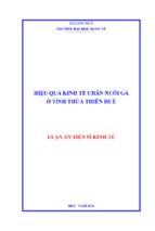 Hiệu quả kinh tế chăn nuôi gà ở tỉnh thừa thiên huế