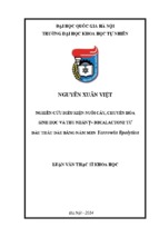 Nghiên cứu điều kiện nuôi cấy, chuyển hóa sinh học và thu nhận γ decalactone từ dầu thầu dầu bằng nấm men yarrowia lipolytica