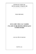 Dáng điệu tiệm cận nghiệm của một số hệ phương trình dạng navier stokes