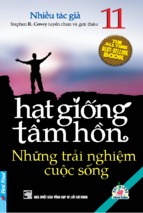 Hạt giống tâm hồn  tập 11 những trải nghiệm cuộc sống