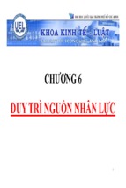 Bài giảng quản trị nguồn nhân lực chương 6   tskh. phạm đức chính