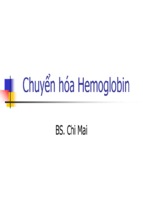 Slide bài giảng chuyển hóa hemoglobin