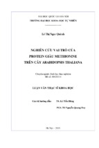 Nghiên cứu vai trò của protein giàu methionine trên cây arabidopsis thaliana