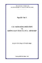 Các nhóm đồng phôi tôpô và không gian tích của nửa – hình hộp