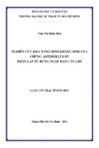 Nghiên cứu khả năng sinh kháng sinh của chủng aspergillus sp. phân lập từ rừng ngập mặn cần giờ