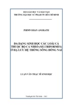 đa dạng sinh học các loài cá thuộc bộ cá nheo (siluriformes) ở hạ lưu hệ thống sông đồng nai