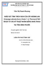 Khảo sát tính thích nghi của cây hoàng lan [cananga odorata (lam.) hook. f. et thomson] tạo được từ các kỹ thuật nhân giống khác nhau tại tỉnh bình phước