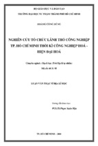 Nghiên cứu tổ chức lãnh thổ công nghiệp tp. hồ chí minh thời kì công nghiệp hoá   hiện đại hoá