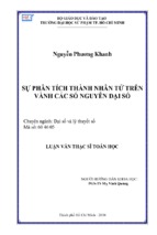 Sự phân tích thành nhân tử trên vành các số nguyên đại số