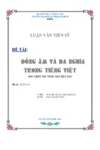 Hiện tượng đồng âm trong tiếng việt đối chiếu với tiếng hán hiện đại