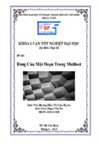 Bóng của một đoạn trong multiset