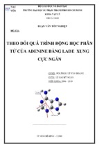 Theo dỏi quá trình động học phân tử của adenine bằng lade xung cực ngắn