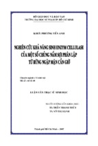 Nghiên cứu khả năng sinh enzym cellulase của một số chủng nấm sợi phân lập từ rừng ngập mặn cần giờ