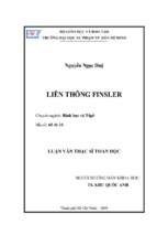 Liên thông finsler