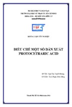 điều chế một số dẫn xuất protocetraric acid
