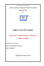 Phản ứng mannich với sự có mặt của l prolinamide