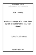 Nghiên cứu đa dạng cây thuốc ở khu dự trữ sinh quyển rừng ngập mặn cần giờ