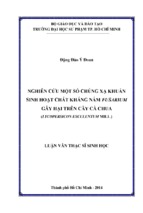 Nghiên cứu một số chủng xạ khuẩn sinh hoạt chất kháng nấm fusarium gây hại trên cây cà chua (lycopersicon esculentum mill.)