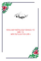 Tổng hợp những bài văn mẫu về miêu tả lớp 4