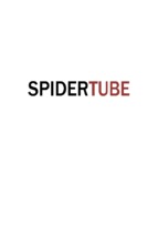 Spidertube   got paid $800 from youtube