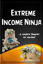 Extreme income ninja