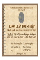 Một số biện pháp đẩy mạnh tiêu thụ sản phẩm gạch tuynel tại công ty cổ phần hoàng long ( www.sites.google.com/site/thuvientailieuvip )