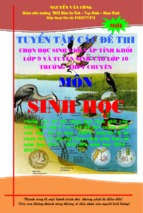 223 đề thi hsg và thi vào 10