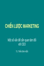 Chiến lược marketing một số vấn đề cần quan tâm đối với ceo ( www.sites.google.com/site/thuvientailieuvip )