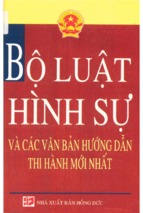 Bộ luật hình sự và các văn bản hướng dẫn thi hành mới nhất 