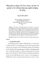 Pháp luật lao động việt nam trong việc bảo vệ quyền và lợi ích hợp pháp của người sử dụng lao động