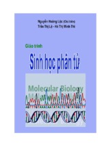 Giáo trình sinh học phân tử   nguyễn hoàng lộc ( www.sites.google.com/site/thuvientailieuvip )