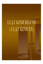 Luật kinh doanh   luật kinh tế ( www.sites.google.com/site/thuvientailieuvip )