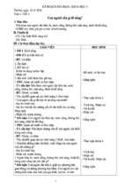 Khoa học lớp 4   toán học 3   nguyễn hàng trung