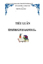 Tiểu luận tình hình sử dụng lao động ở thành phố hồ chí minh năm 2010