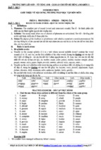 Giáo án chuyên đề   tiếng anh 11   đỗ văn bình