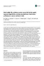 Black soldier fly as dietary protein source for broiler quails apparent digestibility, excreta microbial load, feed choice, performance, carcass and meat traits