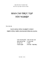 Báo cáo thực tập ngân hàng phát triển nông nghiệp nông thôn tỉnh hà giang