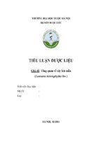 đề tài tổng quan tài liệu về cây ích mẫu   leonurus heterophyllus