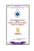 đề tài chiến lược phát triển công ty sabeco