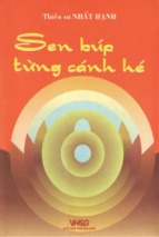 Sen búp từng cánh hé