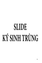 Slide ký sinh trùng